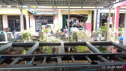 Potensi Desa: Budidaya Ikan Hias